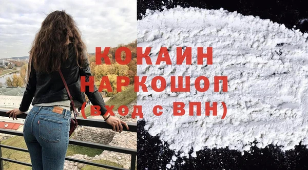 spice Богородицк